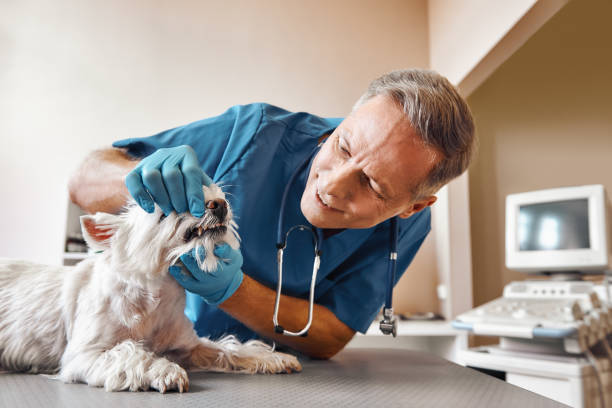 Best Same-Day Emergency Dental Services in Lawnside, NJ